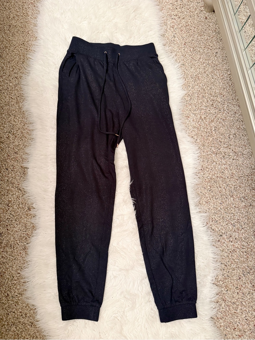Express Joggers
